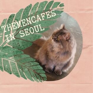 Themencafés in Seoul - Was steckt hinter diesem Trend?