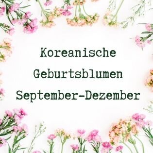 Was ist deine koreanische Geburtsblume und wofür steht sie? Teil 3: September - Dezember