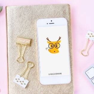Koreanisch lernen mit LingoDeer - App Review